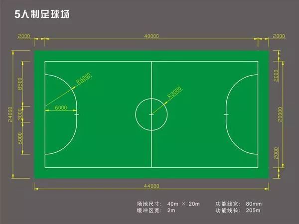 中国人口数量变化图_德国足球人口数量
